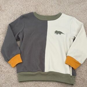 Dinosaur Graphic Colorblock Sweatshirt